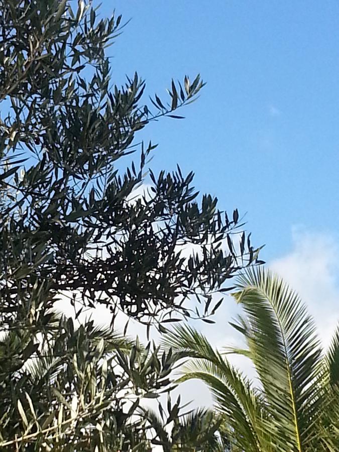 Camera Standard Matrimoniale/Doppia con Letti Singoli